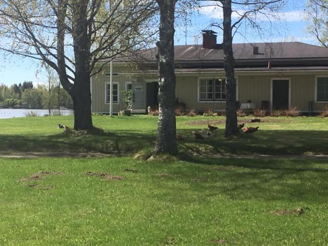 Lomatila Ollila Farm Stay Kerimäki Exteriér fotografie