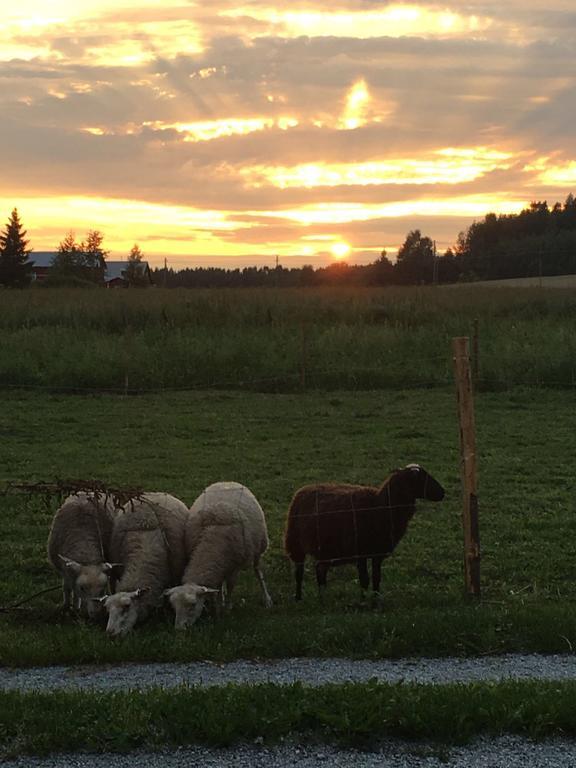 Lomatila Ollila Farm Stay Kerimäki Exteriér fotografie