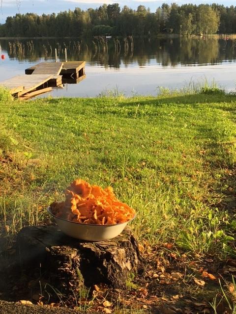 Lomatila Ollila Farm Stay Kerimäki Exteriér fotografie